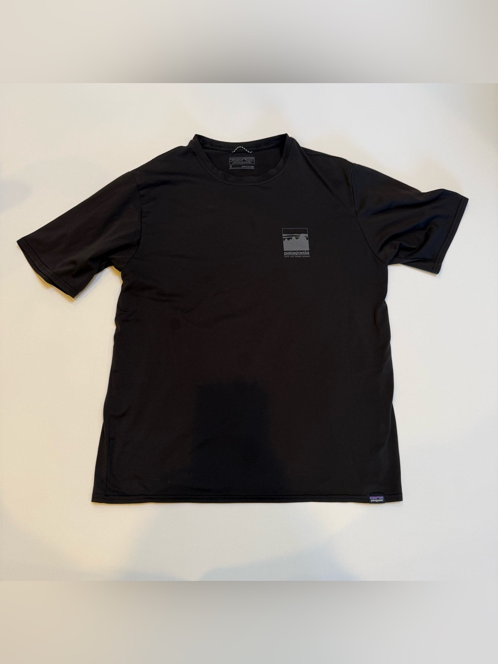 Patagonia Dri-Fit Shirt